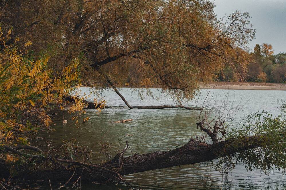 Photograph by София Стрыгина