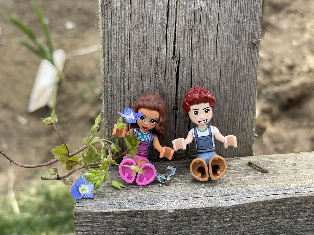 Photograph by Виктория Янушанис