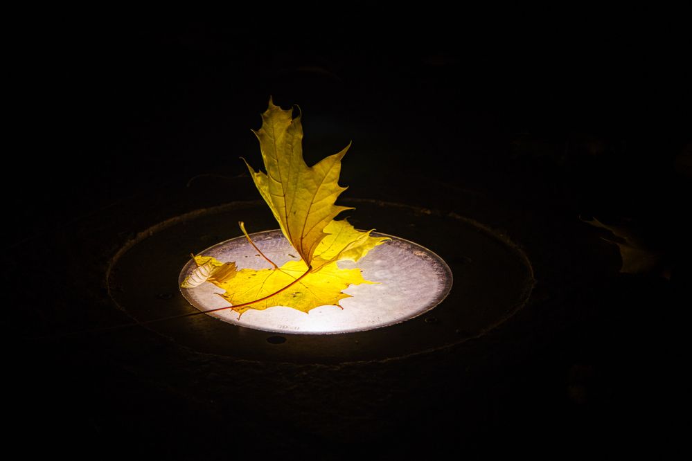 Photograph by Андрей Хитров