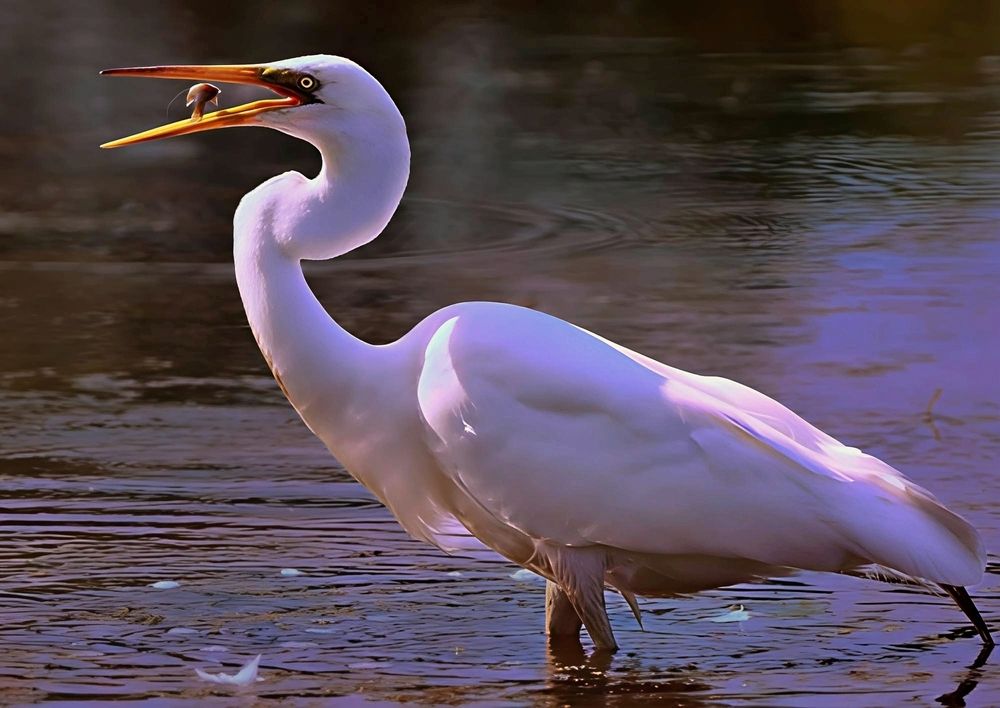 Photograph by Mike MacLean