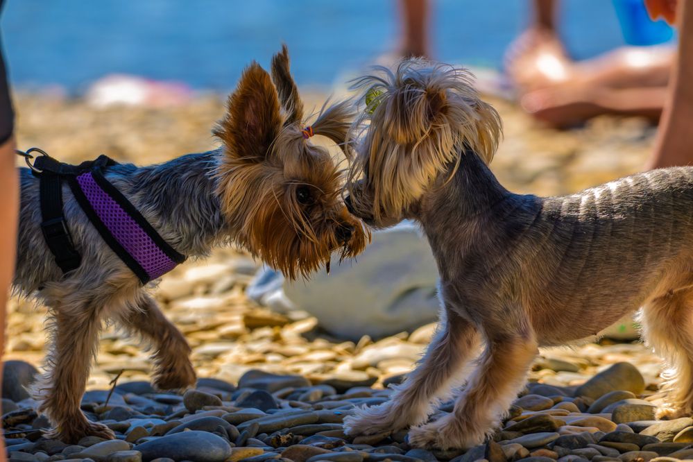 Фотография автора Владимир Хакимов
