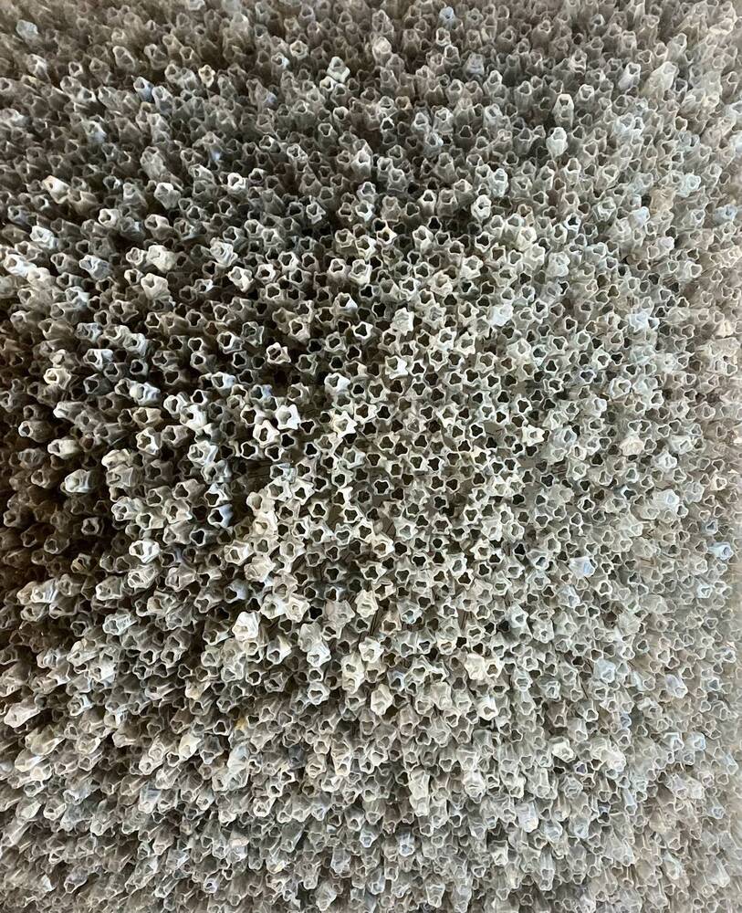 Photograph by Фролова Альфия