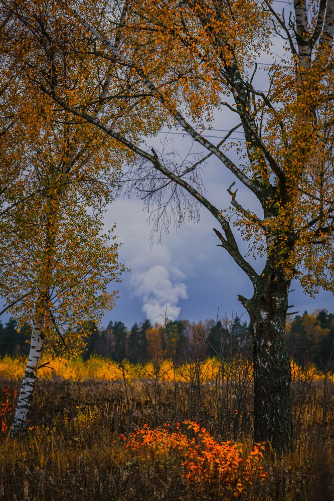 Photograph by Игорь Толкачев