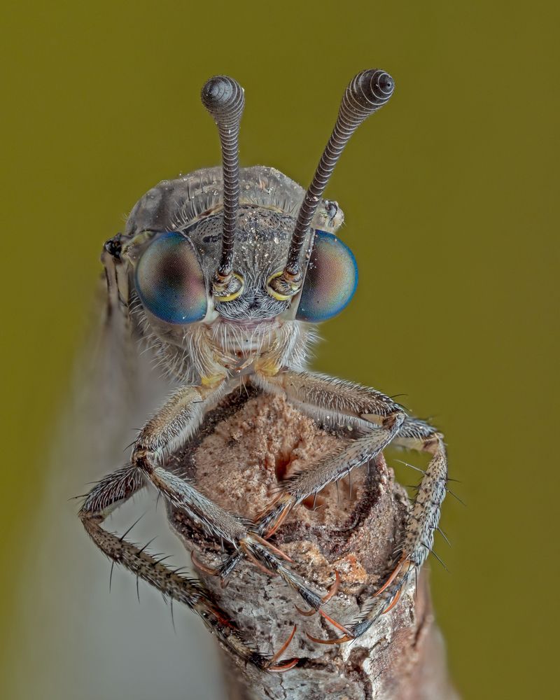 Фотография автора Craig Loechel