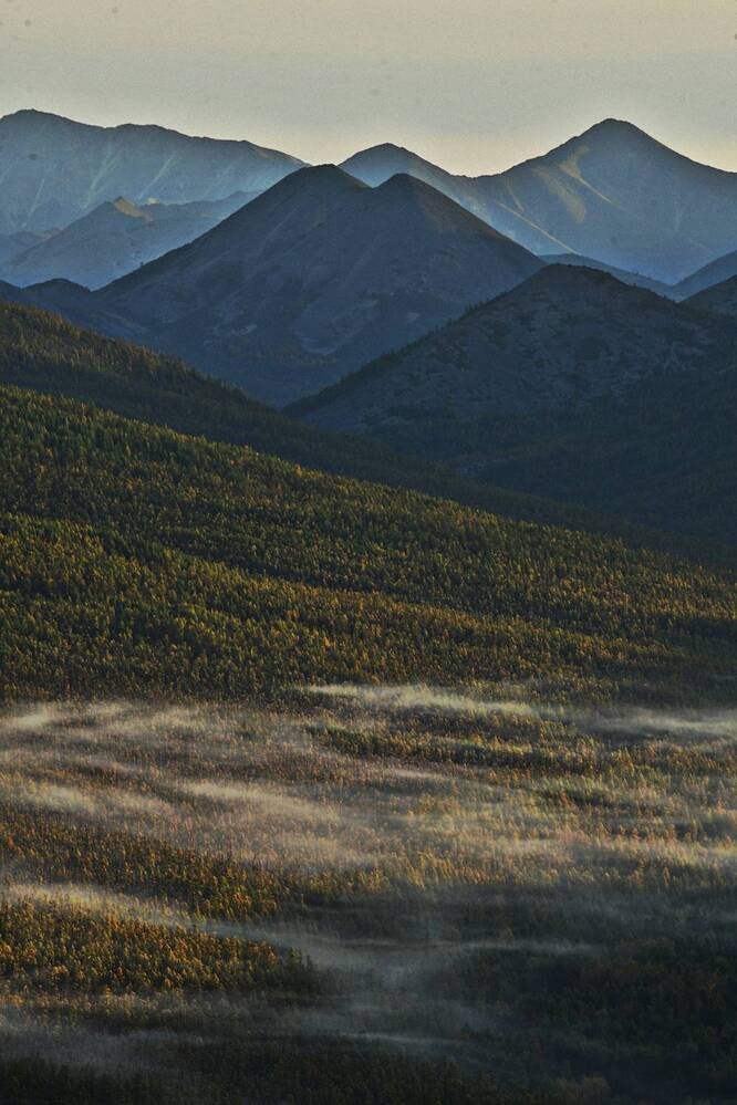 Фотография автора Alexander Tretyakov