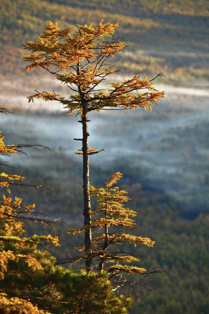 Фотография автора Alexander Tretyakov