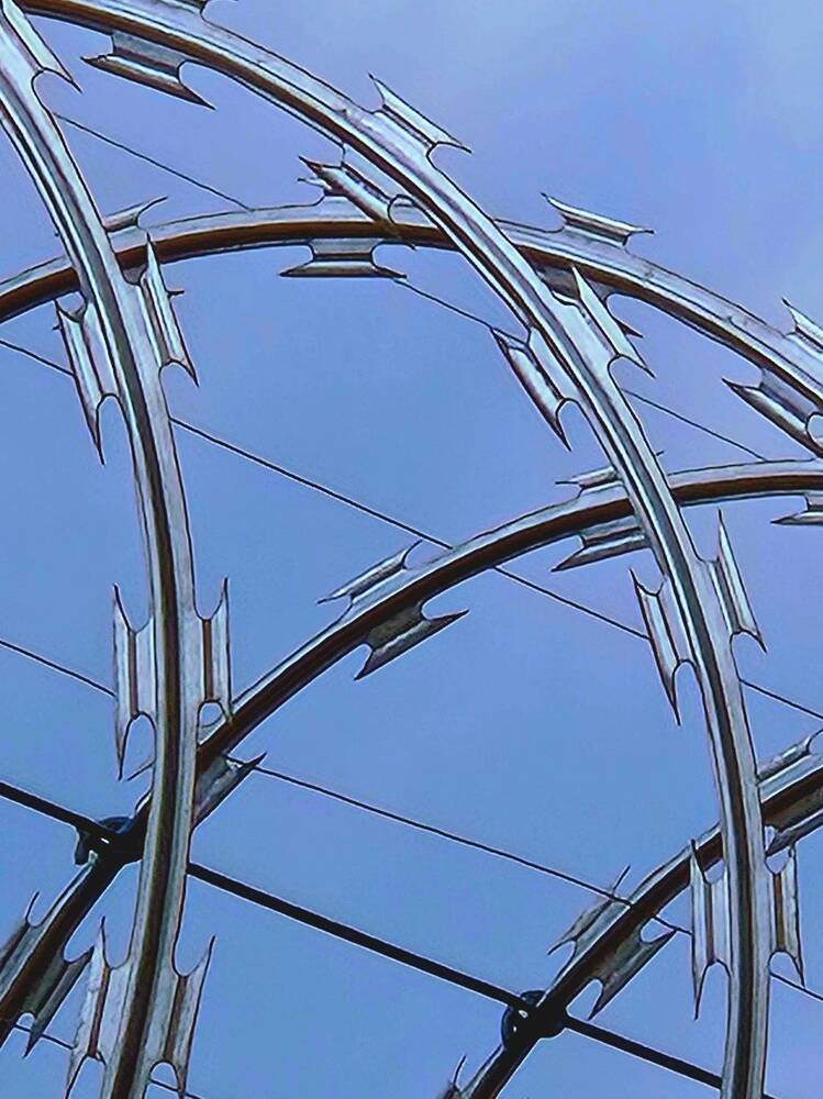 Photograph by Juliana