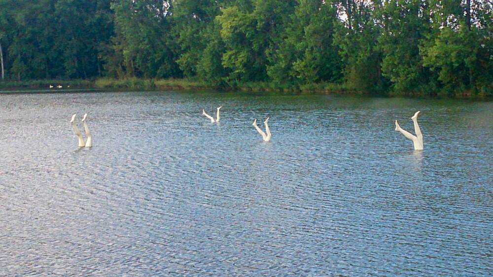 Фотография автора Chorche Prigo