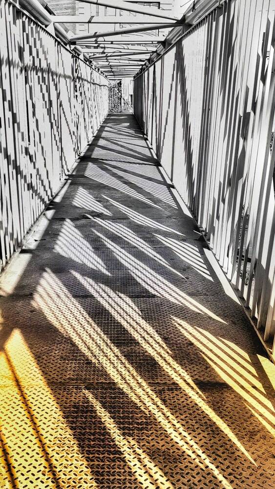 Photograph by Amir Hosein Shokrabadi