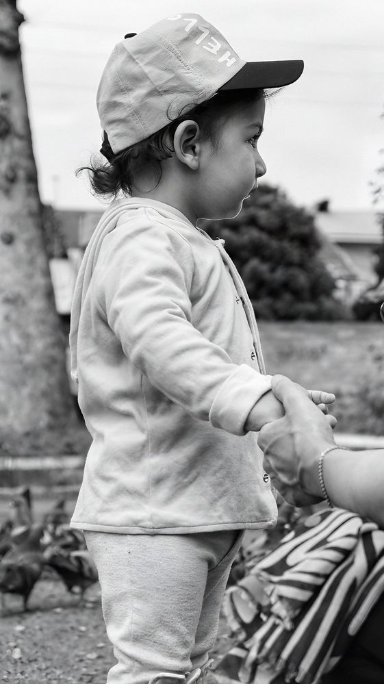 Photograph by Amir Hosein Shokrabadi