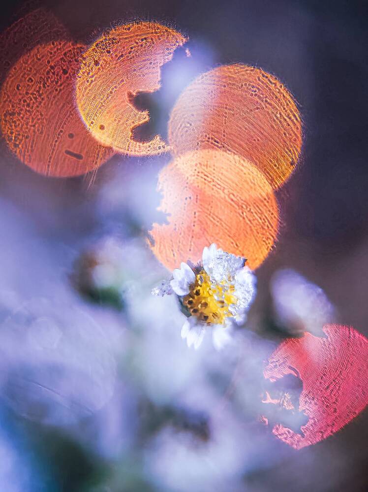 Photograph by Елена Макеева