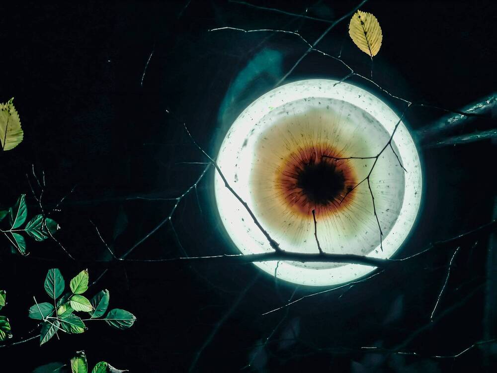 Photograph by Елена Макеева