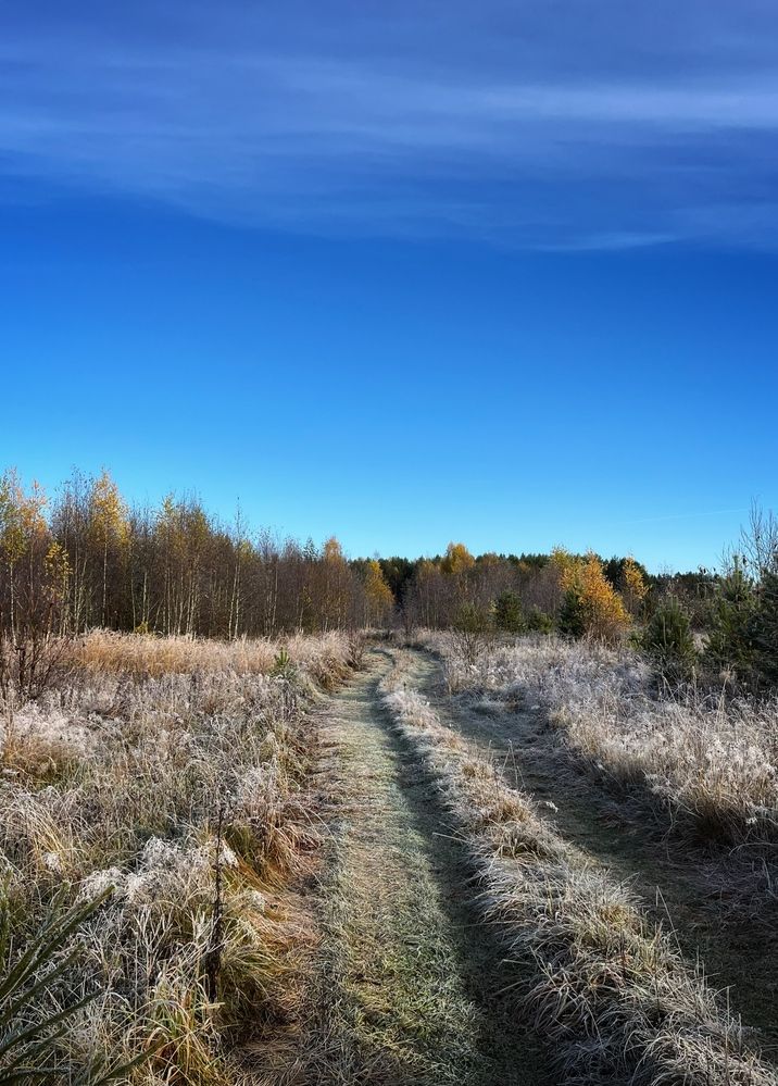 Photograph by Наталья Простова