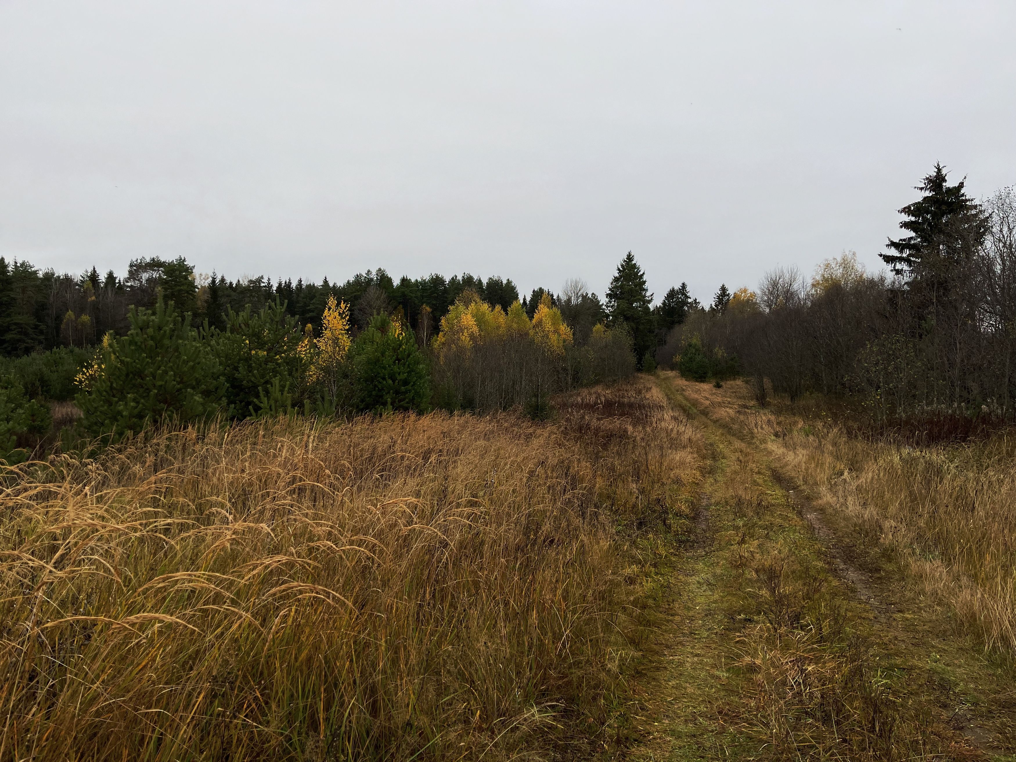 Photograph by Наталья Простова