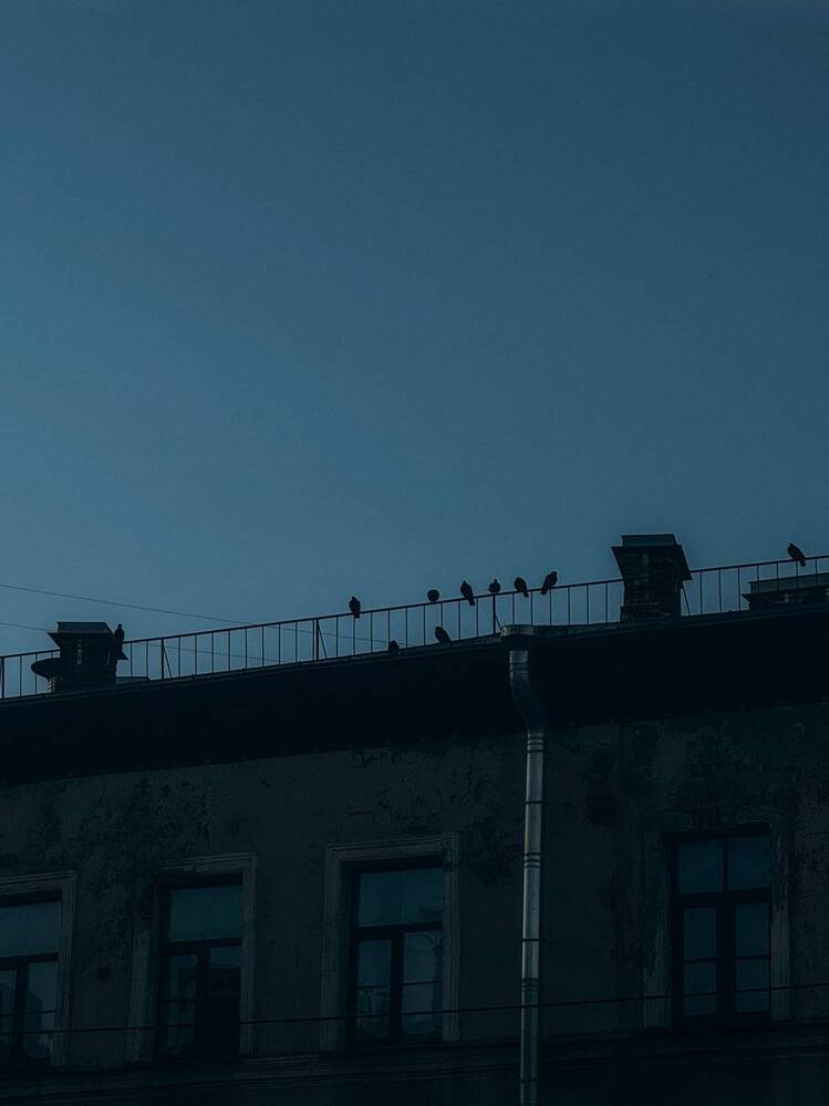 Photograph by Александра Кишикова