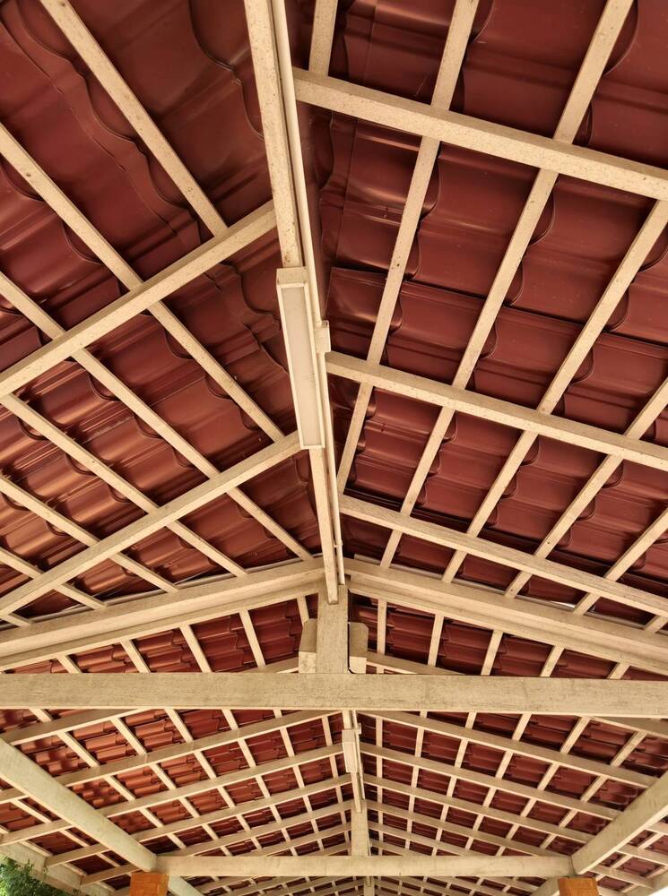 Photograph by Juliana