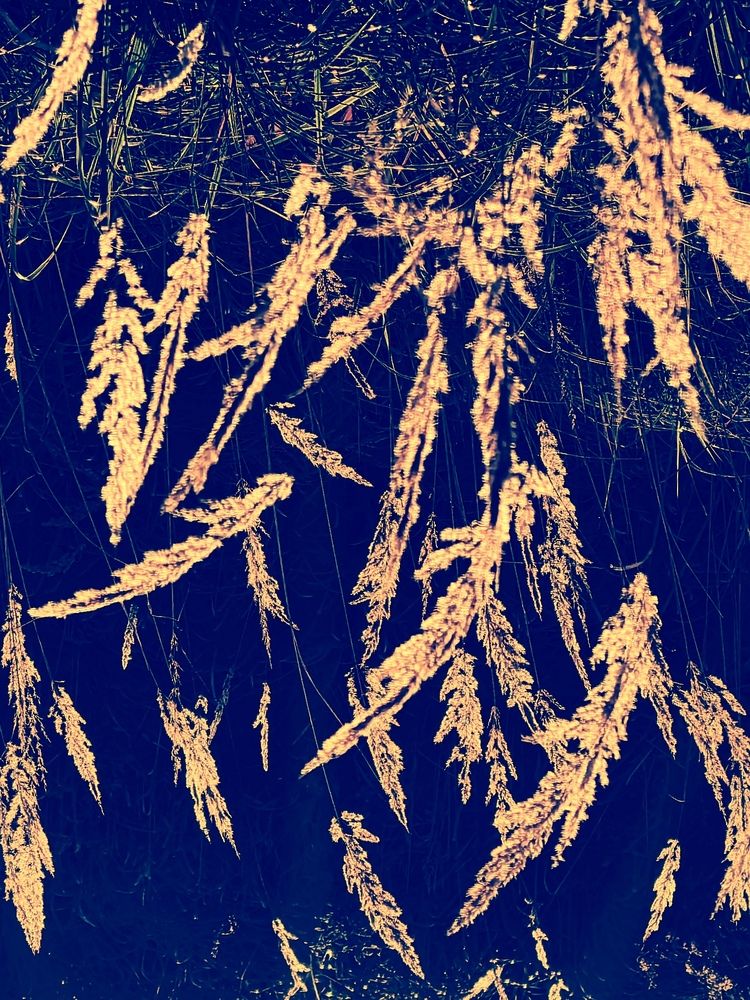 Photograph by Толкачева Наталья