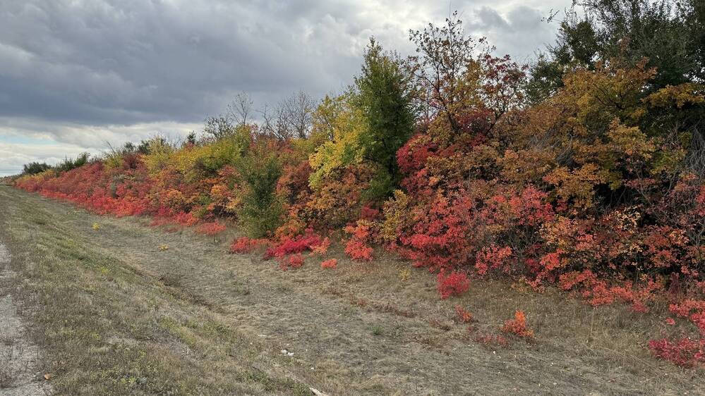 Photograph by Сергей Смирнов