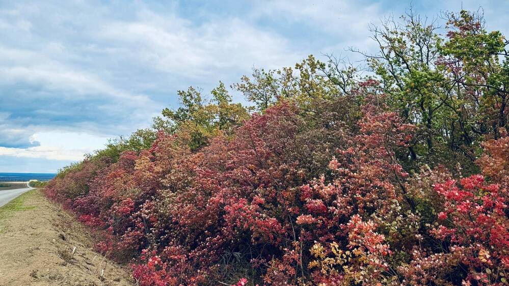 Photograph by Сергей Смирнов