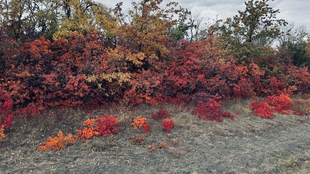 Photograph by Сергей Смирнов