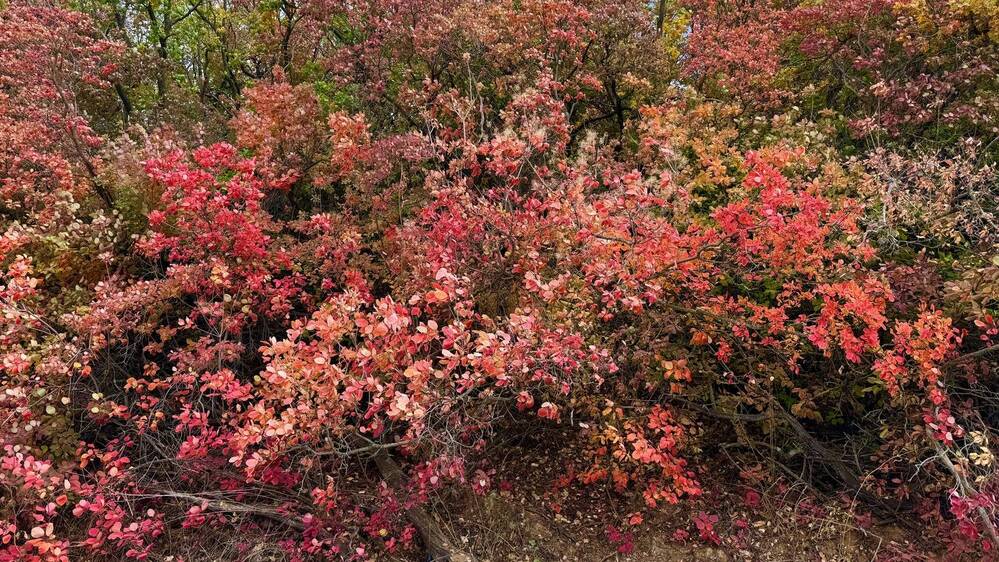 Photograph by Сергей Смирнов