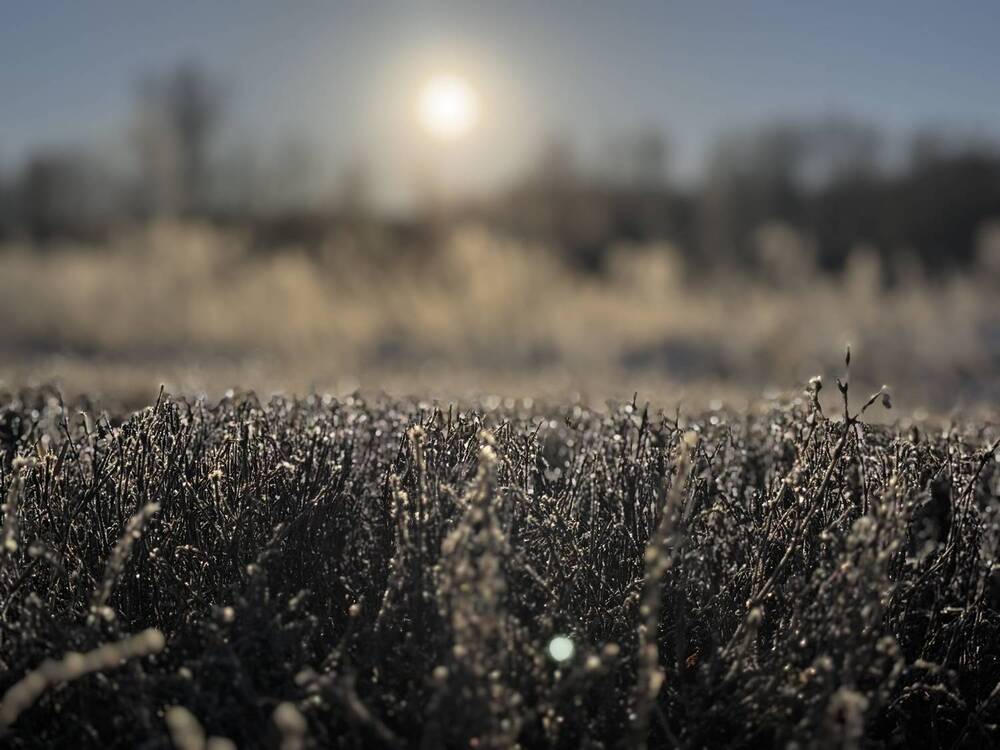 Фотография автора Злывко Владимир