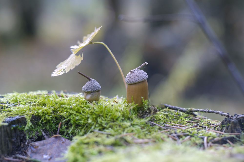 Photograph by Любовь Бусова