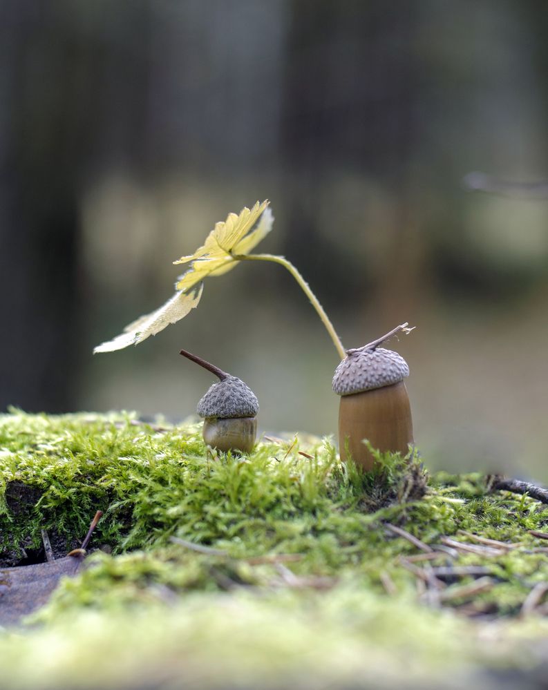 Photograph by Любовь Бусова