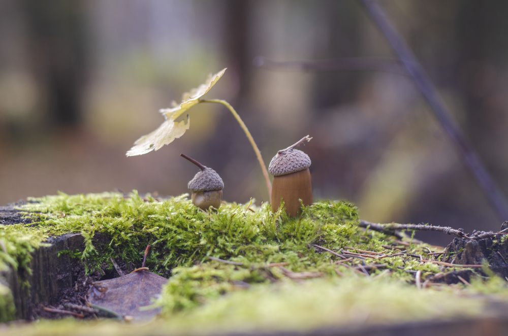 Photograph by Любовь Бусова