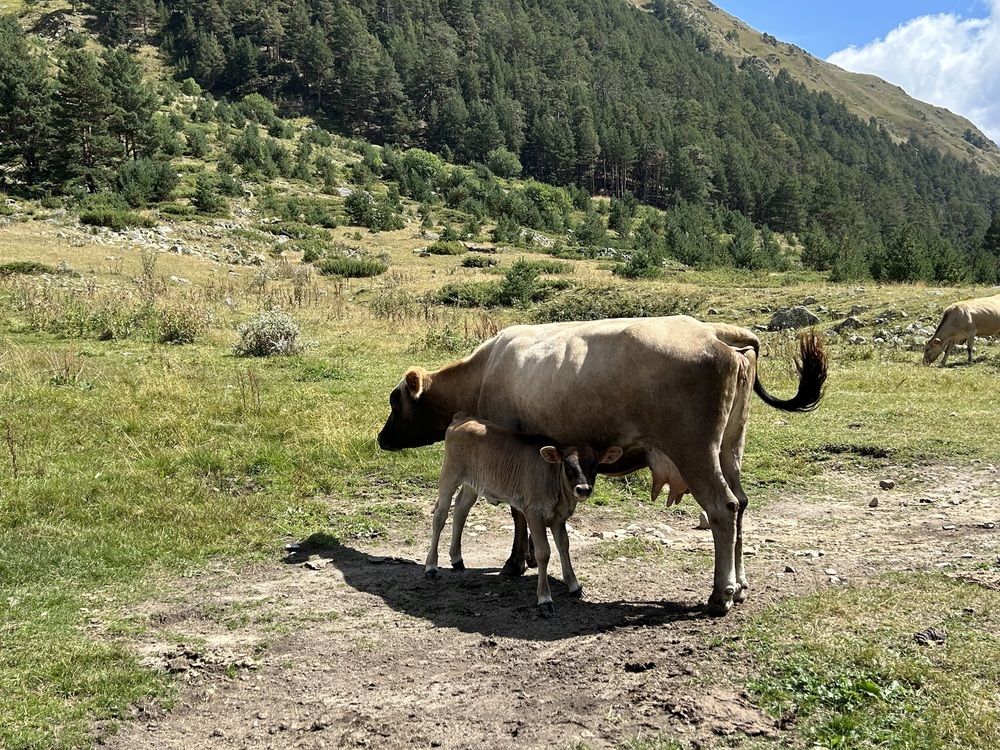 Photograph by Елена Власова