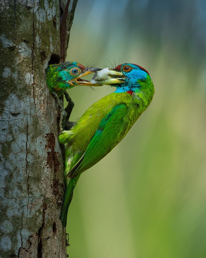 Photograph by Mainak Halder