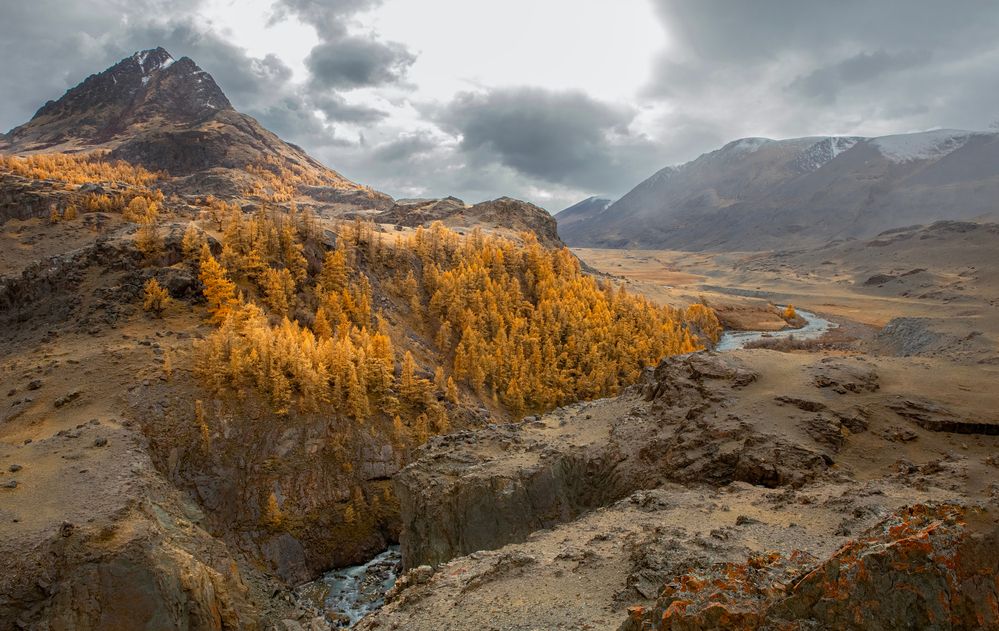 Photograph by Елена Павлова