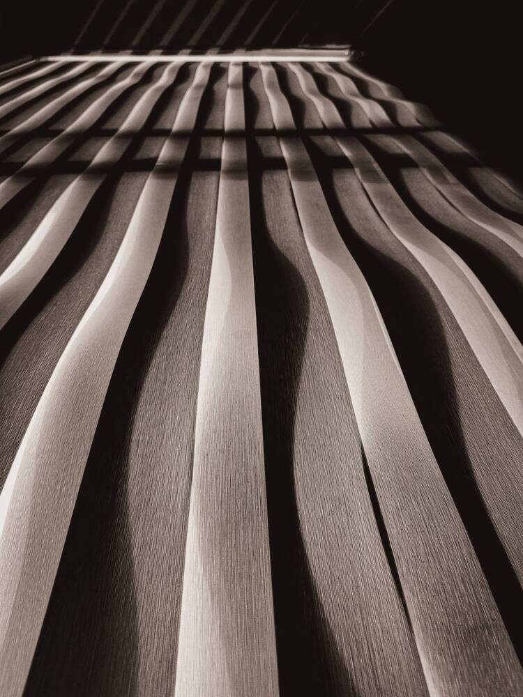 Фотография автора Camilo Rojas