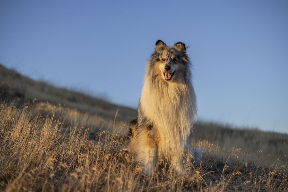 Photograph by Капанов Владислав
