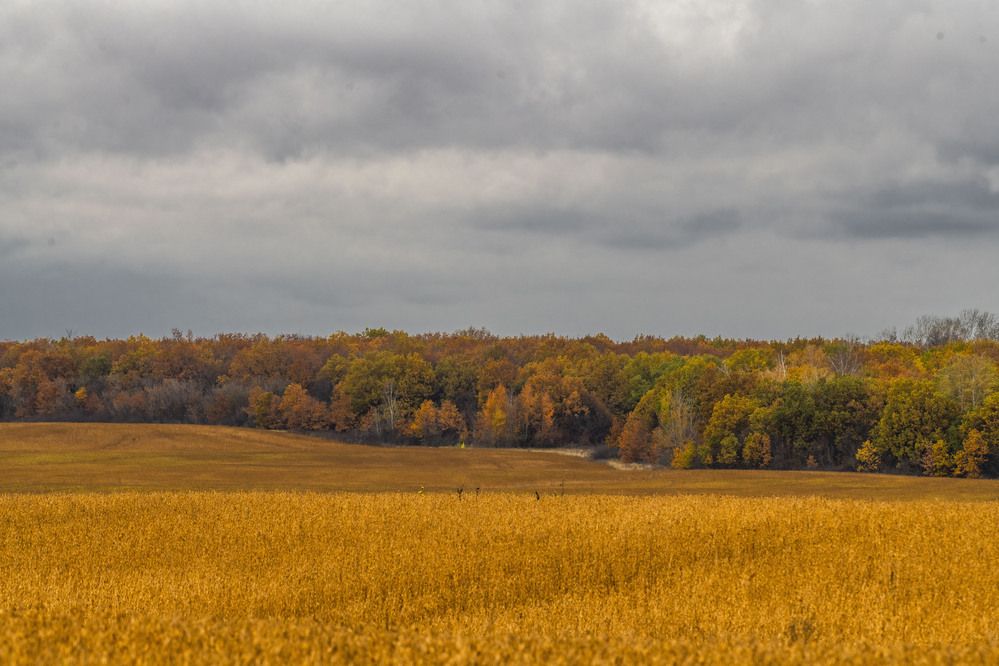 Photograph by Алексей Сиваков