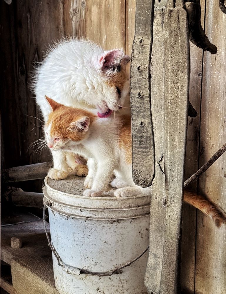 Photograph by Юлия Порфирьева