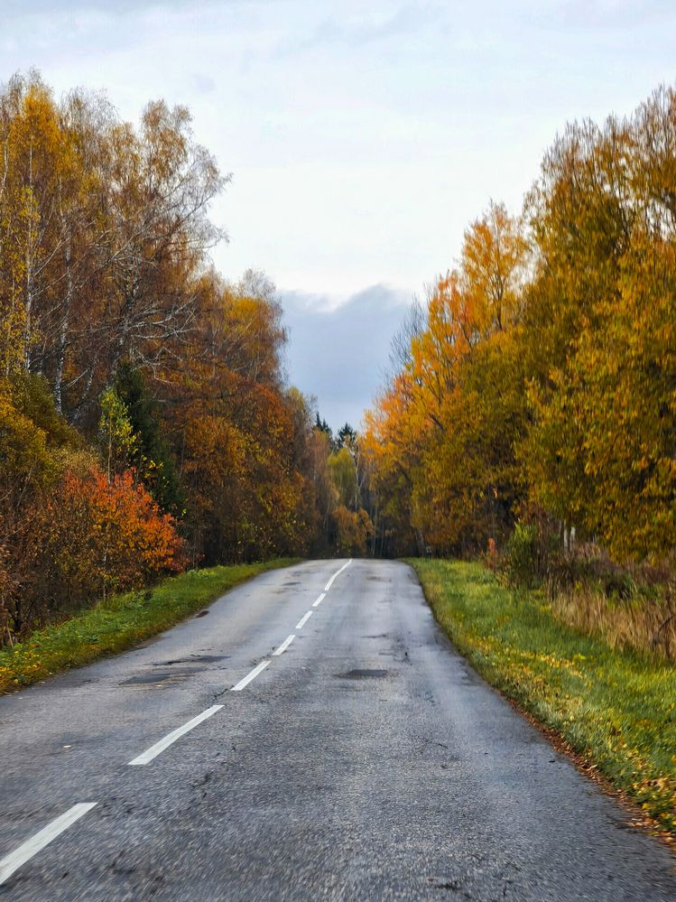 Photograph by Олеся Хижко