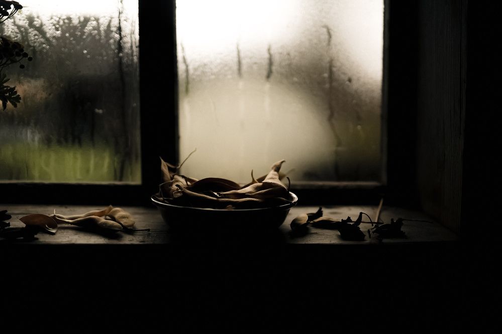 Photograph by Ирина Романовская