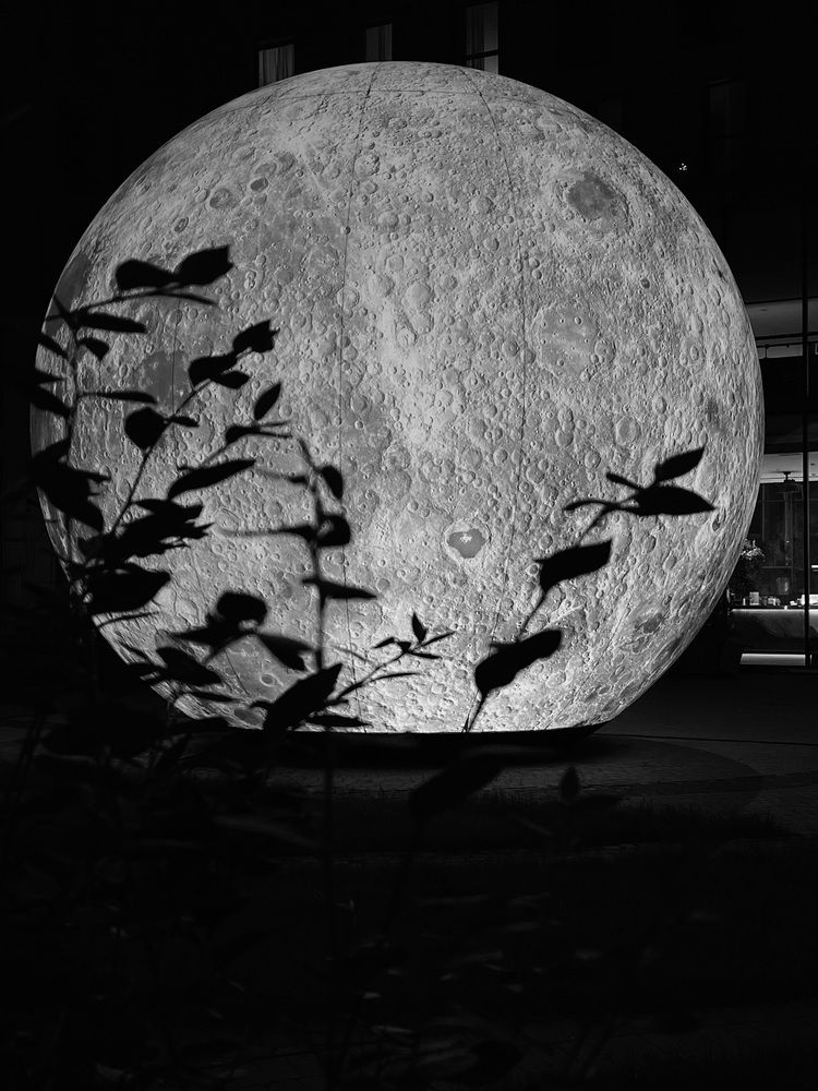 Photograph by Светлана Смук