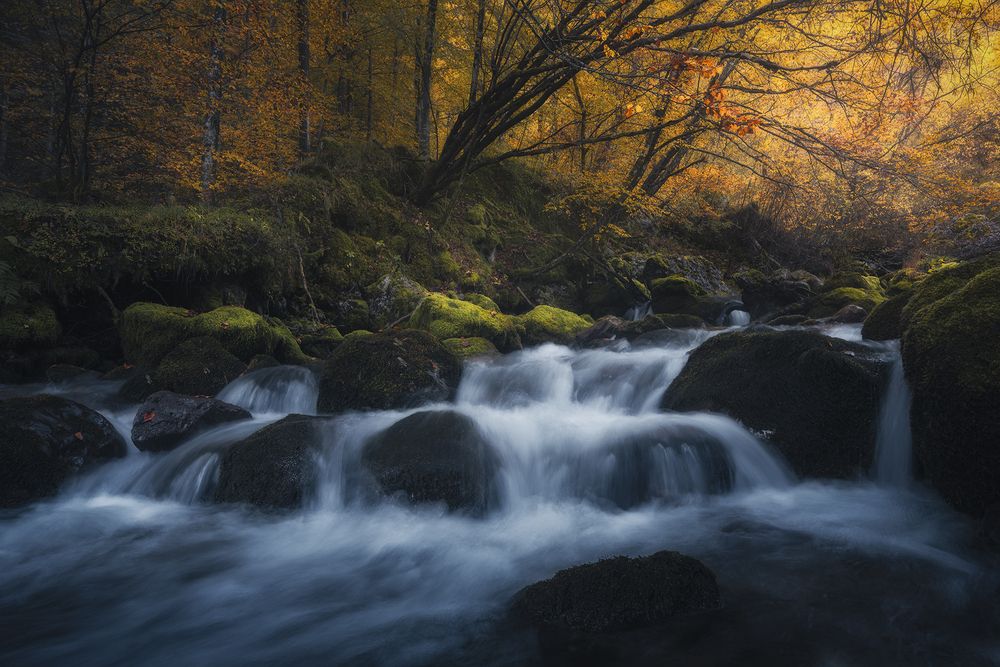 Photograph by de Franzoni Thomas