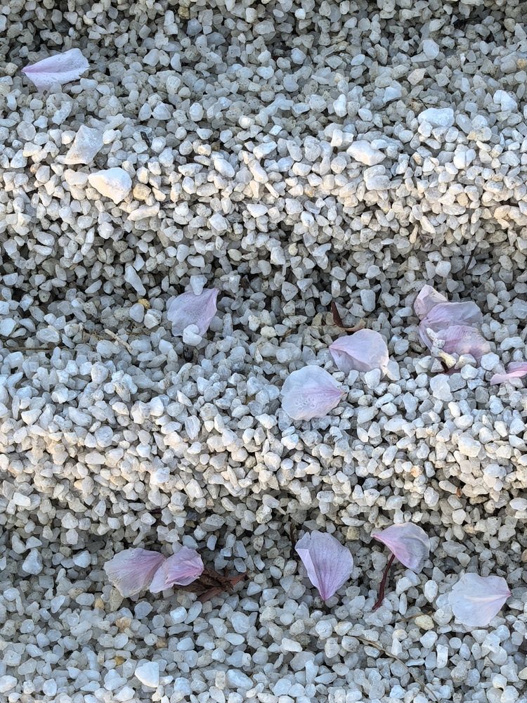 Photograph by Ксения Золотарь