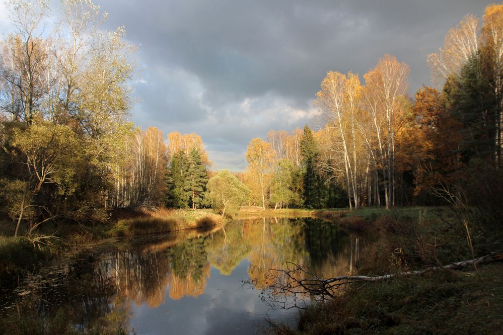 Осенний пруд