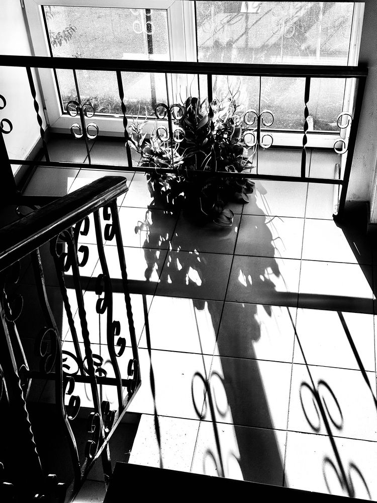 Photograph by Наумова Татьяна