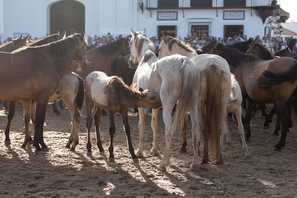 Фотография автора Fabienne Gassmann