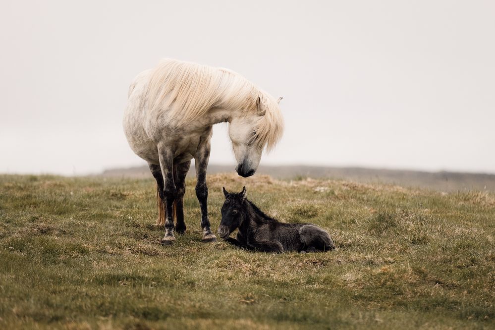 Photograph by Fabienne Gassmann