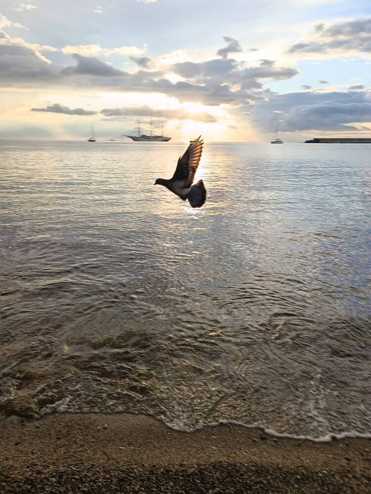 Photograph by Елена Пархоменко