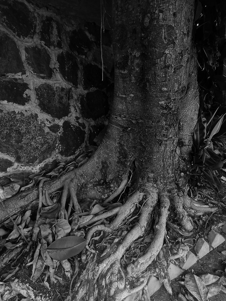 Photograph by Елена Пархоменко