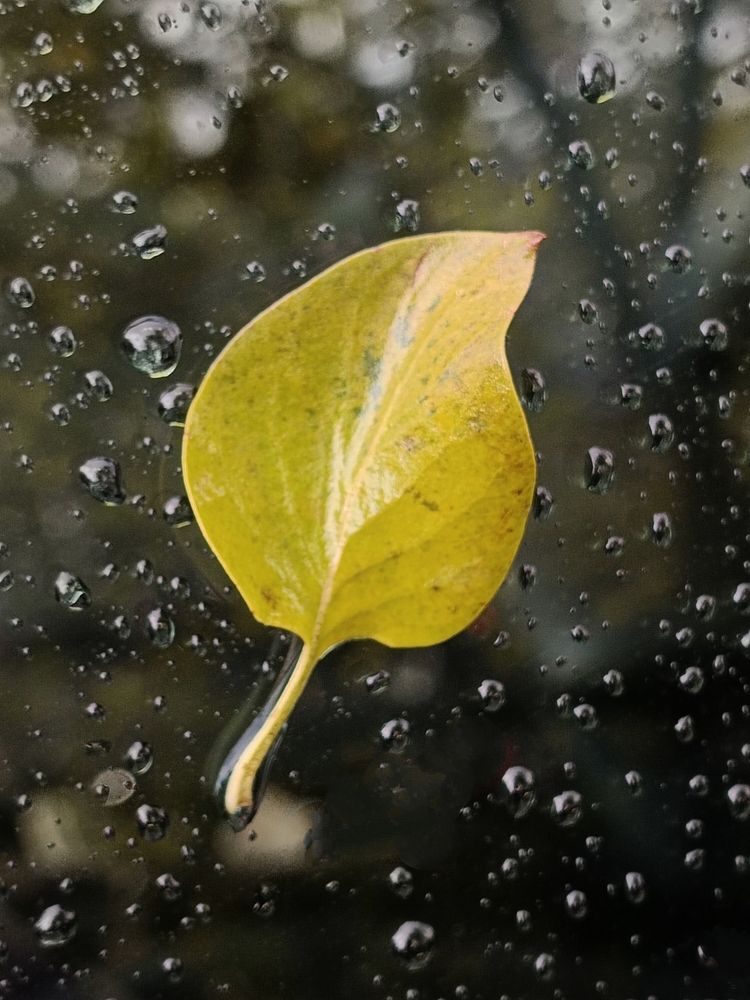 Photograph by Елена Пархоменко