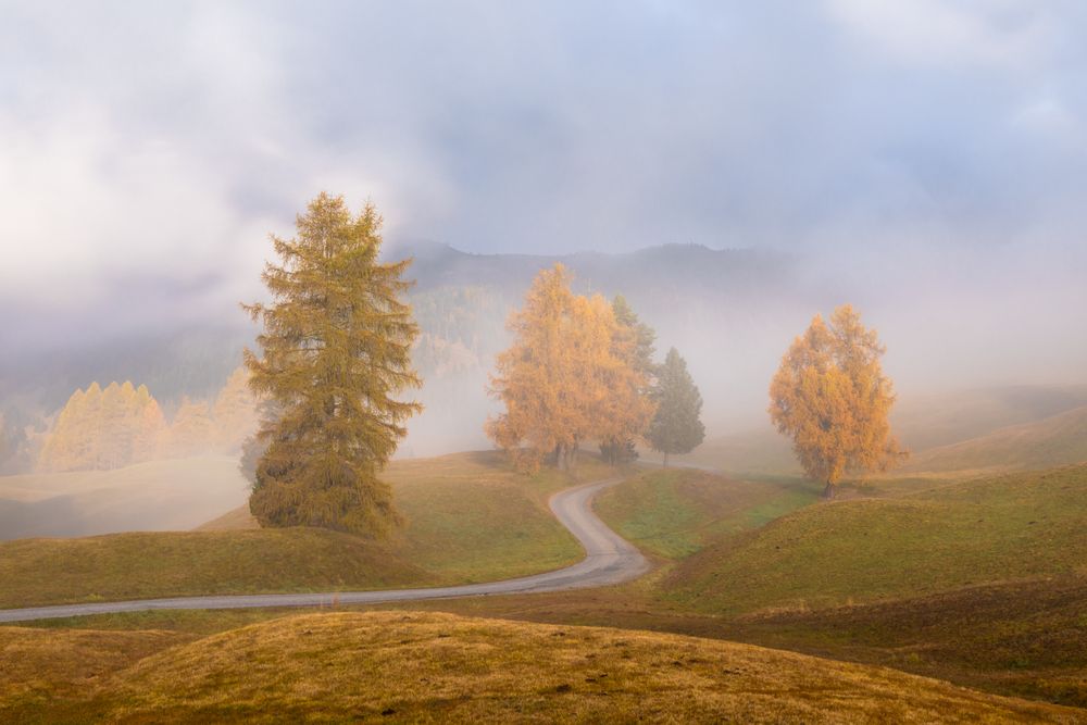 Photograph by Евгения Чех