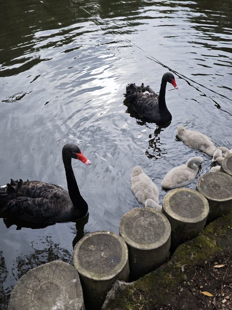 Photograph by Елена Шоколенко